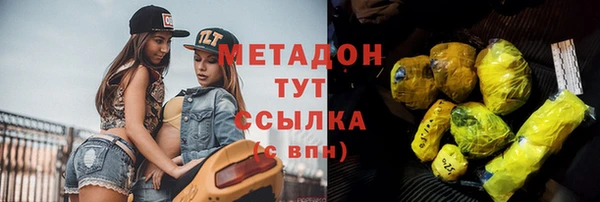 мдпв Ельня
